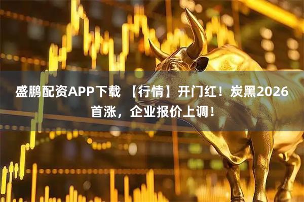 盛鹏配资APP下载 【行情】开门红！炭黑2026首涨，企业报价上调！