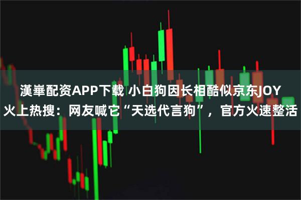 漢崋配资APP下载 小白狗因长相酷似京东JOY火上热搜：网友喊它“天选代言狗”，官方火速整活