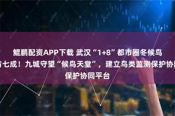 鲲鹏配资APP下载 武汉“1+8”都市圈冬候鸟占全省七成！九城守望“候鸟天堂”，建立鸟类监测保护协同平台